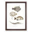 Selection of Fish by John Edward Gray - Picture Frame Painting Print-55614134-55614140
