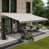 Grey-Beige Chip Fancy
