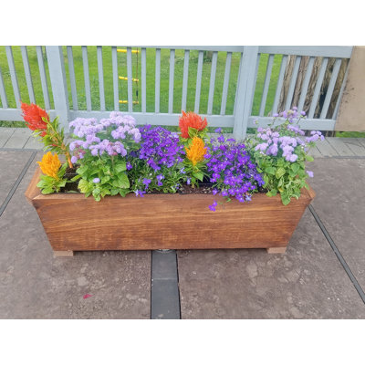 Darinka Wood Planter Box