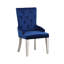 Velvet Chair 1Pc