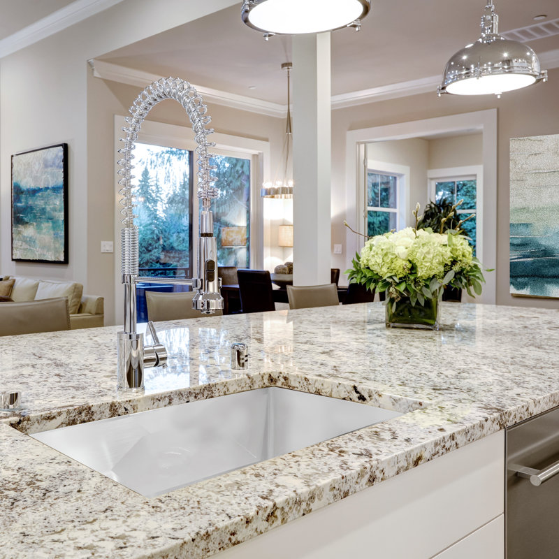 24'' L Single Basin Kitchen Sink