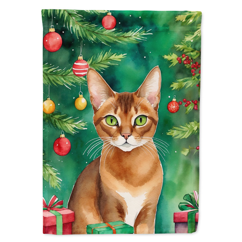Drapeau de jardin Pixie Bob, Abyssinien