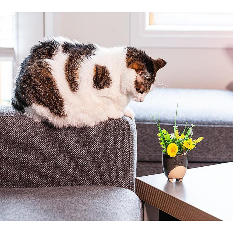 Pot à chat gris sur pieds