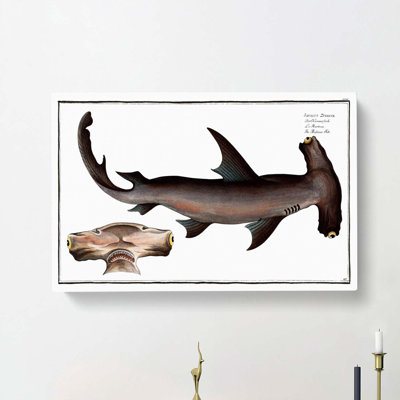 Hammerhead Shark by M.E. Bloch - Wrapped Canvas