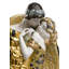 Figurine de baiser