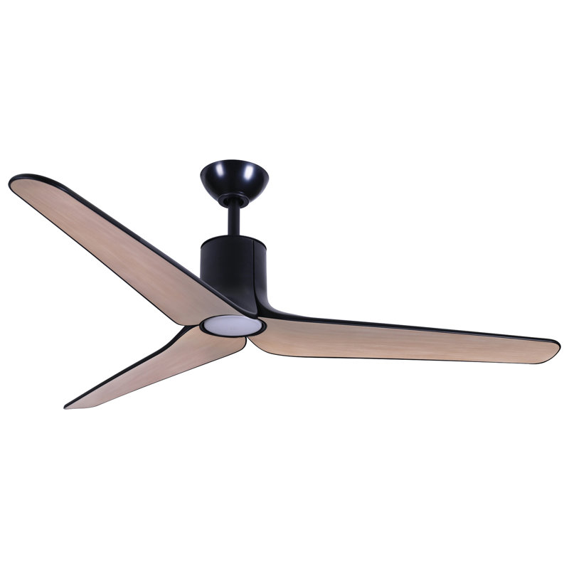 Ventilateur de plafond intérieur / extérieur à DEL 56 po Tempri, Noir, Bois brun