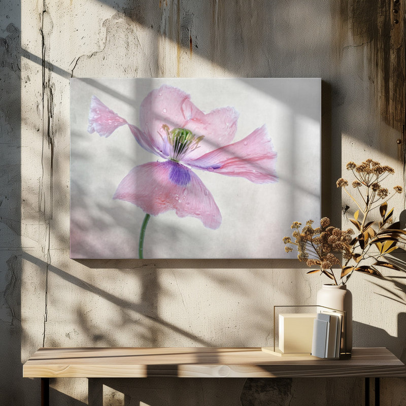 Wrapped Canvas Print, 50.8 cm H x 76.2 cm W