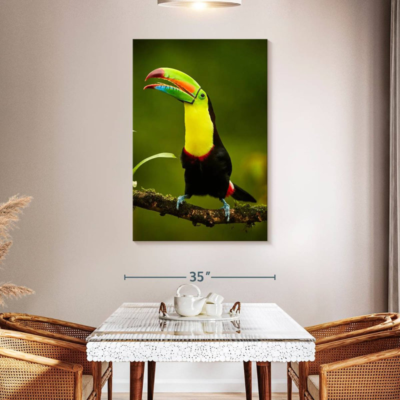 Brampt Rainbow Billed Toucan, 45" H x 30" W