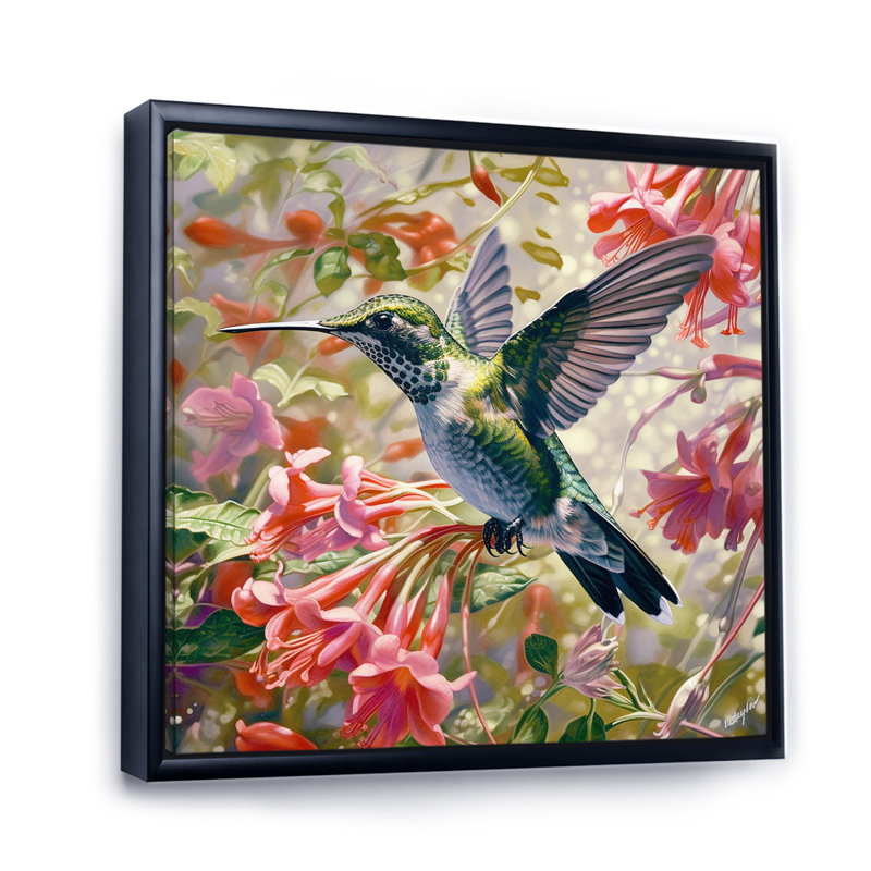 Colibri gracieux II, Cadre flottant noir, H 24 po x l 24 po x P 1 po