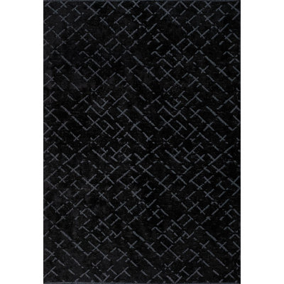 Rapture Abstract Area Rug in Black