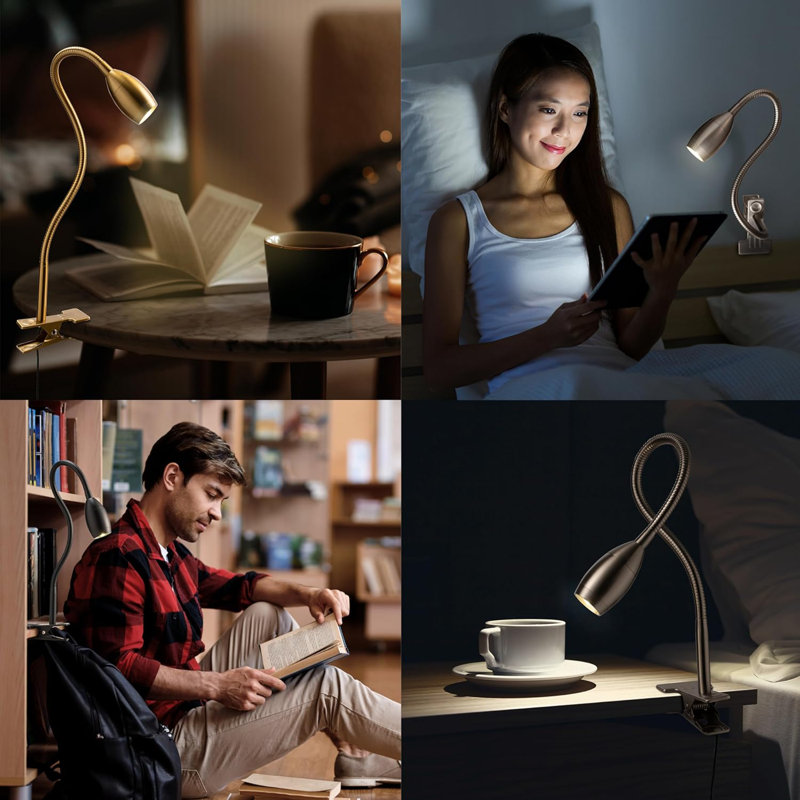 Zerline Adjustable Metal Clip-on Lamp 360 Degree Flexible Gooseneck Lamp, Brass