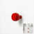Rose (rouge)