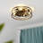 20" Low Profile Caged Ceiling Fan with Light Kit and Remote Control-1713128401