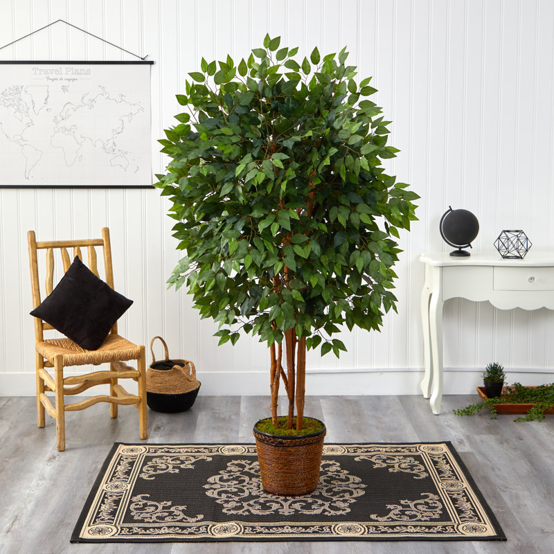 Faux Ficus Tree in Wood Planter, 66" H x 33" W x 33" D