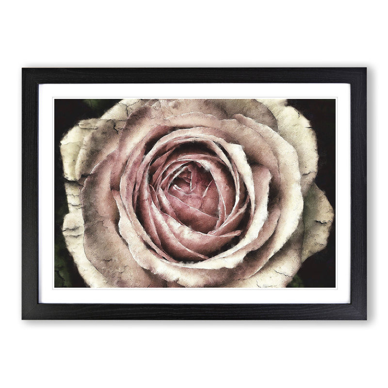 Pink Rose Flower Vol.3 - Framed Print, 48cm H x 65cm W x 2cm D, Black Framed