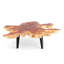 Solid Wood Coffee Table