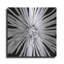 «Black and White Love» par Donnie Quillen-675963390