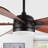 Reanda 57'' Ceiling Fan with LED Lights