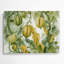 Légumes, art mural vert Luffa Luffa-36855495