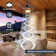 Lieuwe 20" Outdoor Waterproof Ceiling Fan with Dimmable LED Light and Remote Control