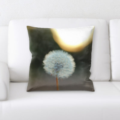 Coussin décoratif