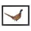 Pheasant Bird in Winter - Picture Frame Graphic Art Print-55732117-55732118