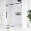 60 po X P 74 po H Porte de douche coulissante semi-sans cadre au fini noir-110983341