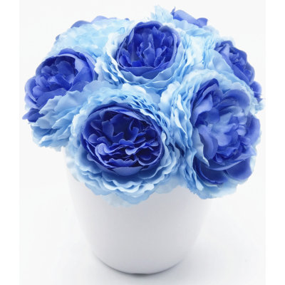 Dissimulateurs de fleurs en pot pivoines