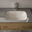 Bloom 21.7 in. L Bathroom Sink-854186388