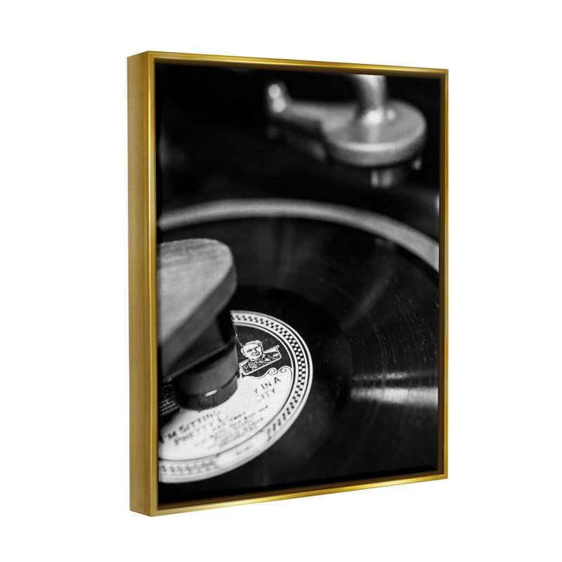 Reproduction de vinyle vintage encadrée sur toile par Danita Delimont, Cadre flottant métallique doré