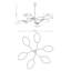 LOTUS BL-1675256818-1675256819-1675256820