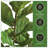 43 " H Faux Fiddle Leaf Fig Plant
