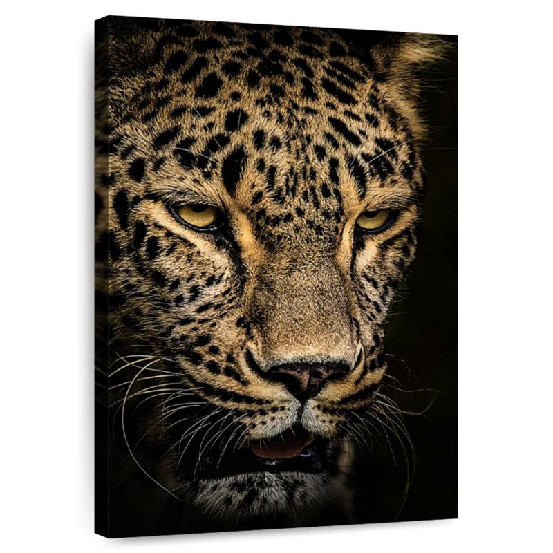 Brampt Waiting Leopard, 12" H x 8" W