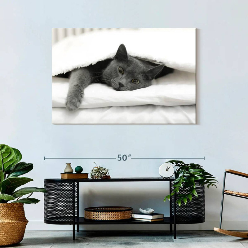 Brampt Lazy Cat, 30" H x 45" W