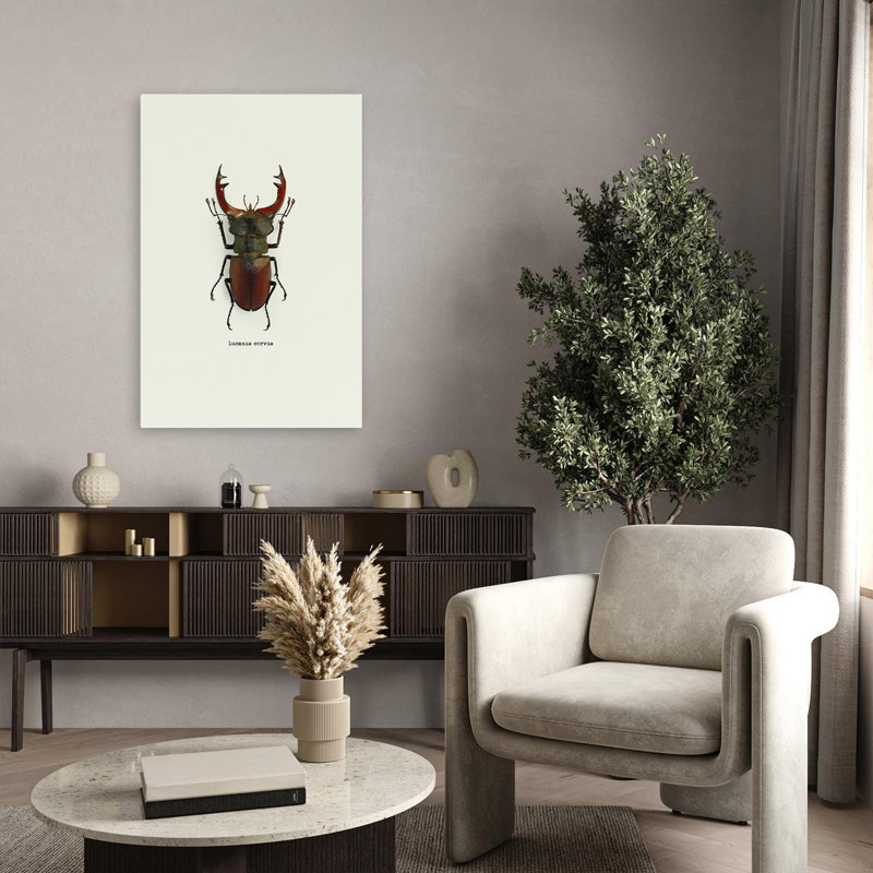 Coléoptère rouge - art animaux et insectes, H 36 po x l 24 po