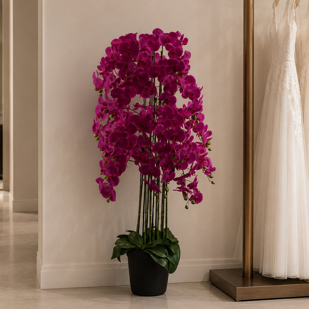 Real Touch Artificial Orchids Plastic, Silk Artificial Arrangement in Planter