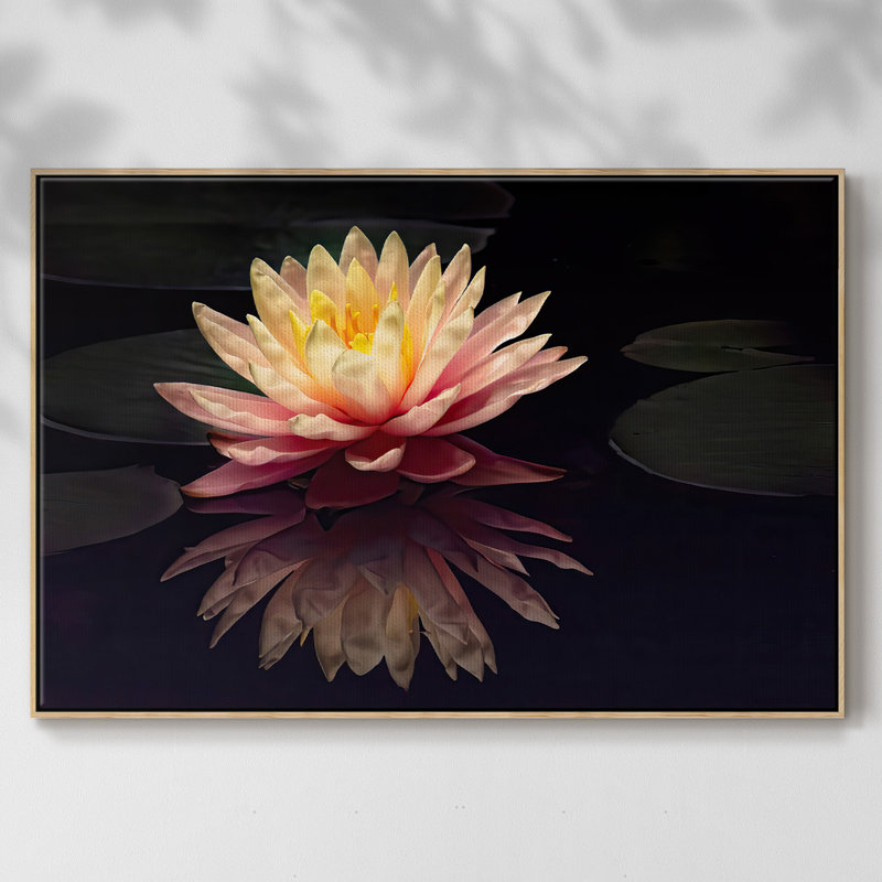 Photographie, étude, nénuphar encadré sur toile, H 25 po x l 37 po x P 2 po, Naturel
