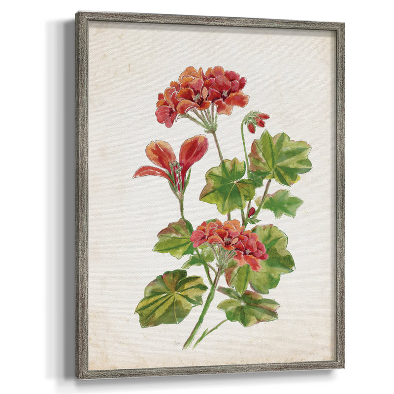 Scarlet Botanical II, reproduction encadrée - bois massif, H 21 po x l 17 po