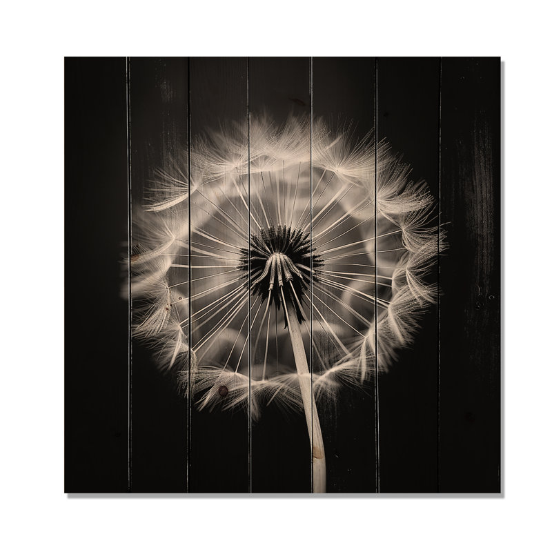 Black And White Dandelion Minimal - Dandelion Wood Wall Art On Natural Pine Wood, 25" H x 25" W
