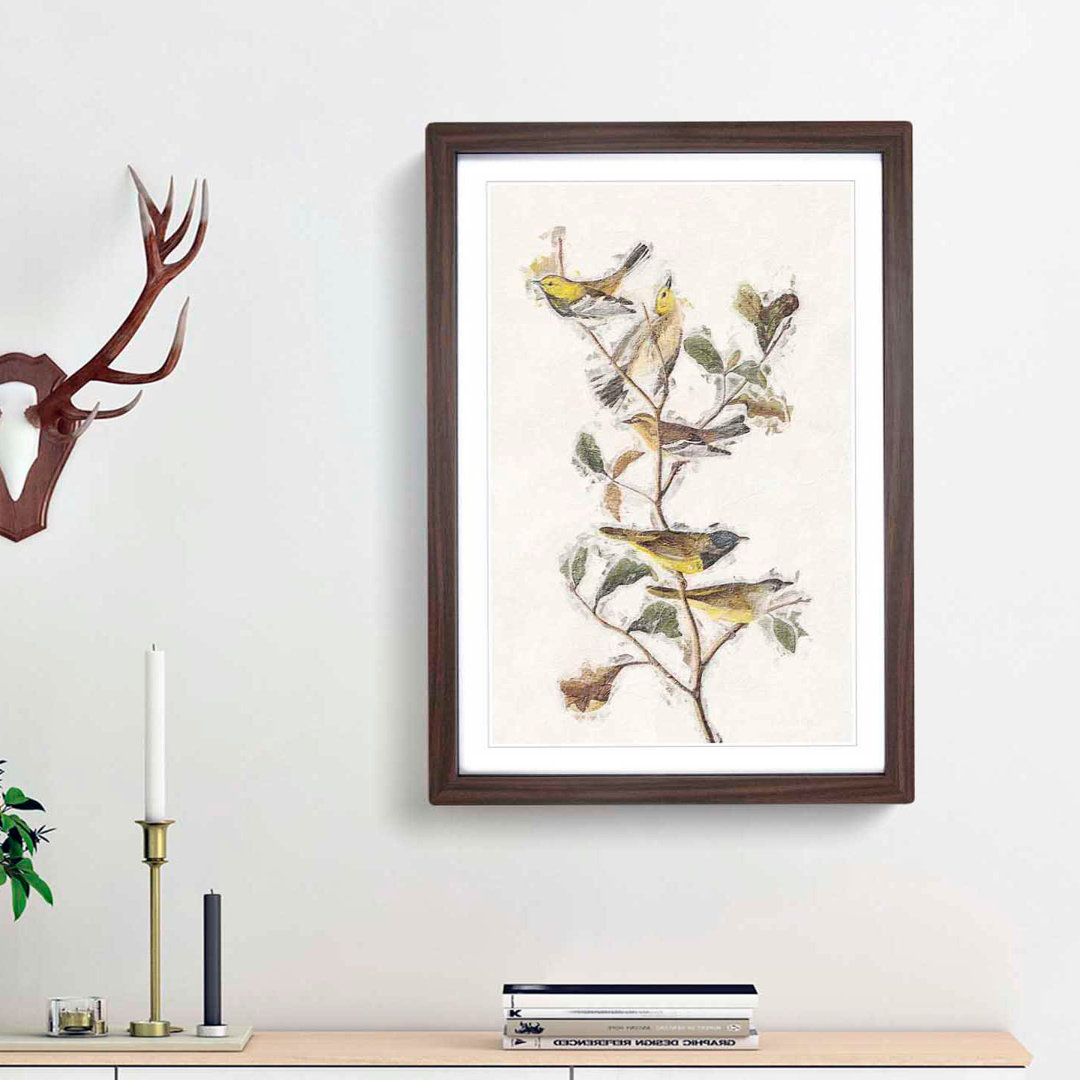 Black-Throated Green Warbler by John James Audubon - Picture Frame Painting Print