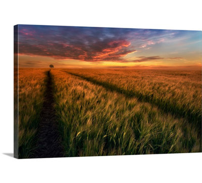 « piotr krol », reproduction de photo sur toile quelque part au coucher du soleil