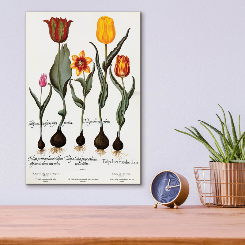  «Tulips» par Art Licensing Studio, art mural en verre acrylique, 12 po x 16 po