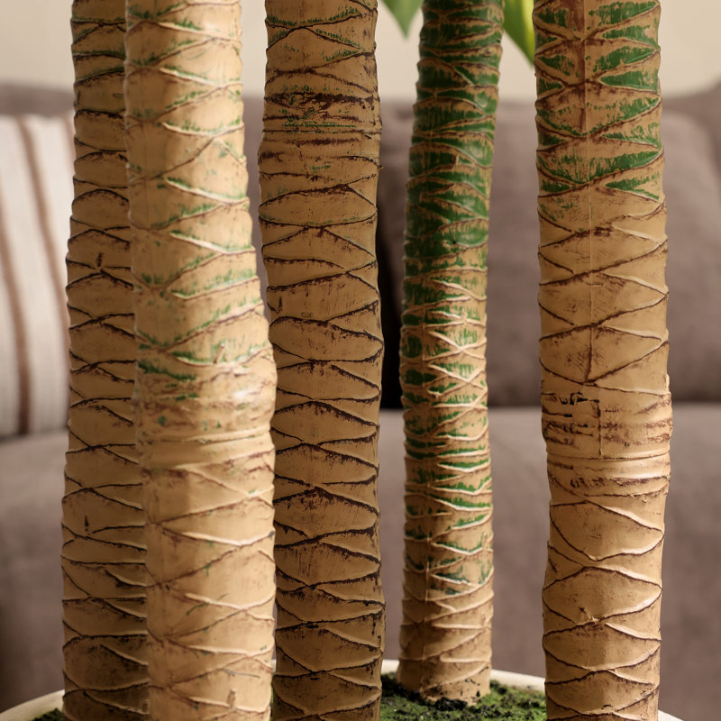 Arbre Dracaena de 8 pi Adcock, H 96 po x l 34 po