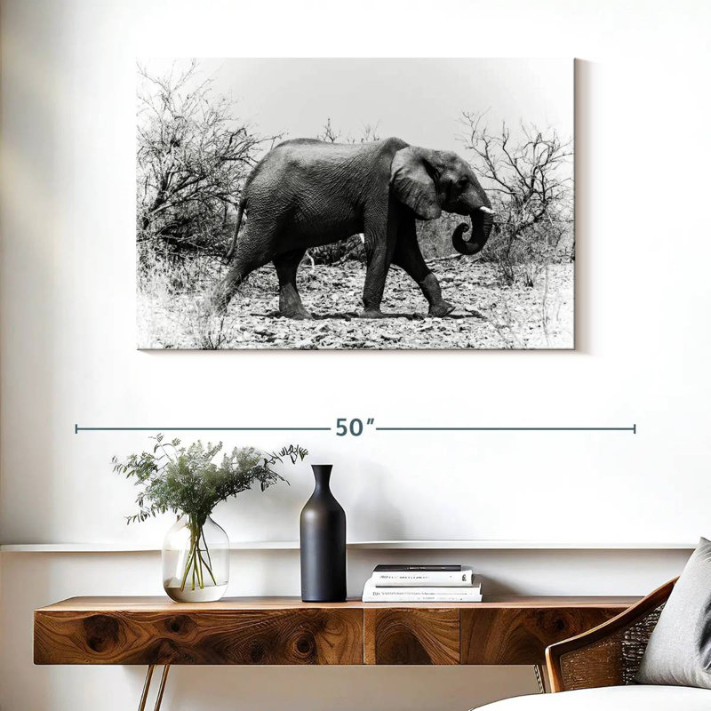 Éléphant d'Afrique Brampt au Botswana, H 26 po x l 39 po