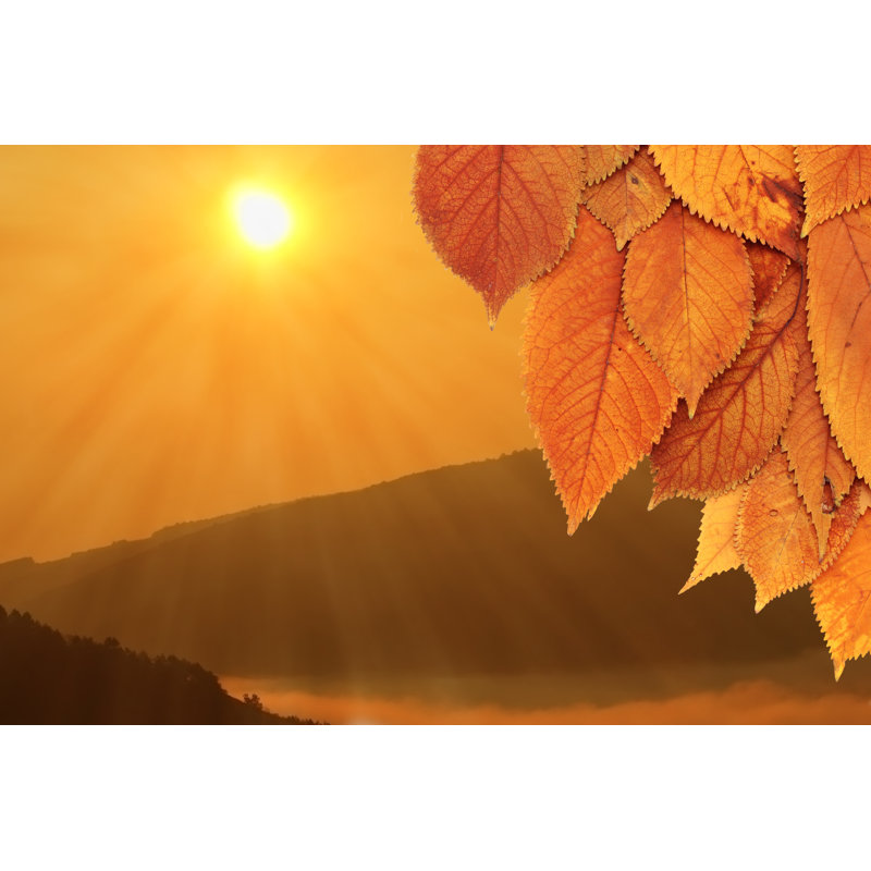 Golden Leaves by Taviphoto - Wrapped Canvas Print, 51cm H x 76cm W