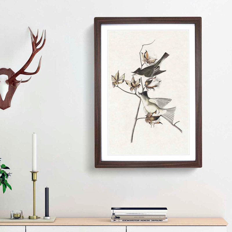 Pewit Flycatcher Birds by John James Audubon - Picture Frame Painting Print, 36cm H x 27cm W x 2cm D, Walnut Framed