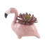 Ensemble de 2 plantes agave en céramique en céramique flamant rose