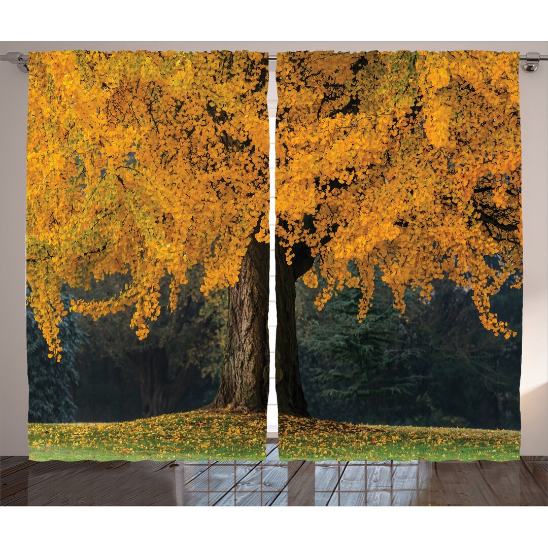 Rustikaler Vorhang, Blätter Baum Herbst Jahreszeit, Fallen, Erde Gelb Braun