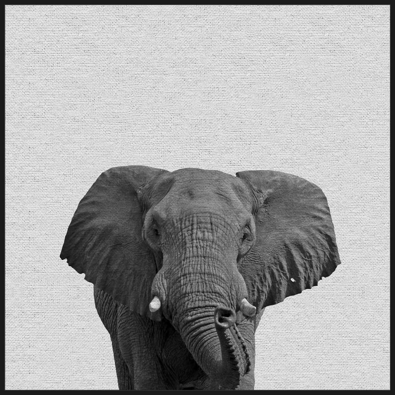 Big Elephant by Marmont Hill - Floater Frame Print on Canvas, 81cm H x 81cm W 