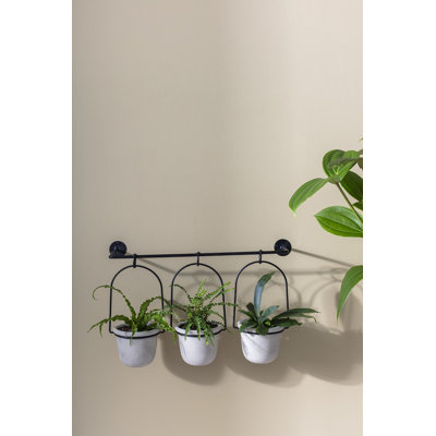 Glavin Ceramic Hanging Planter